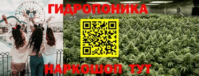 прущие крисы Севастополь