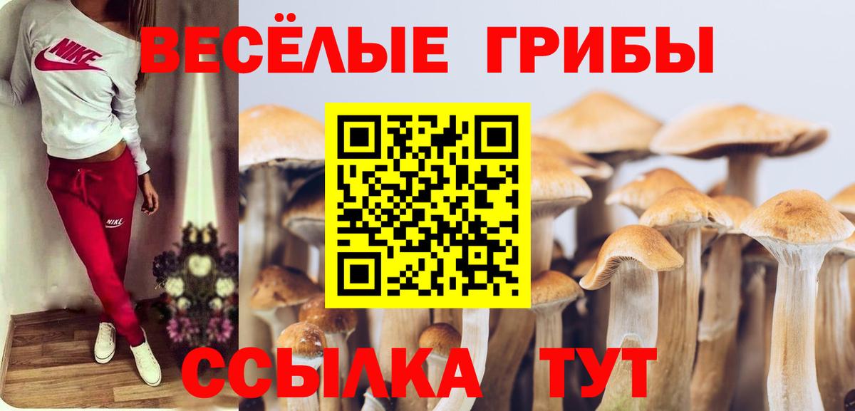 Галлюциногенные грибы мицелий  Галлюциногенные грибы прущие грибы  Александров  Вход с VPN 